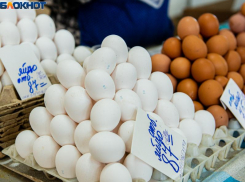 Из-за закрытия «Таганрогской птицефабрики» на 25 % поднялись цены на яйца в Ростовской области