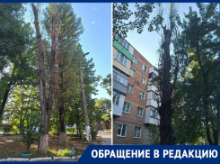 Уже несколько недель горожанка ждёт, что администрация выполнит своё обещание