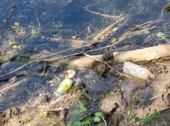 Культура хромает: «Черепаший» прудик в Таганроге вновь засыпали мусором 