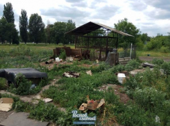 Бизнесмен- живодер из Новошахтинска готов продать измученных питомцев за большие деньги таганрогскому зоопарку
