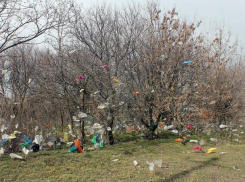 На 300 тысяч могут оштрафовать в Таганроге не вывозящие мусор фирмы
