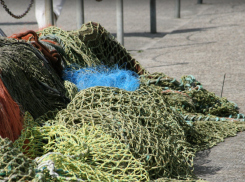 Больше 6 тонн рыбы за неделю: в Азово-Черноморском бассейне инспекторы Росрыболовства поймали браконьеров