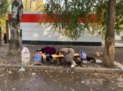«Аллею Славы и Бессмертия» в Таганроге оккупировали БОМЖИ