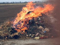 Публикация «Блокнот Таганрог» сработала – сельскую администрацию накажут за сжигание венков и травлю хуторян