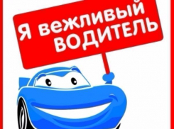 Таганрожец призвал автолюбителей взять пример с московских коллег