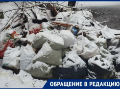 «Экотранс» не спешит вывозить мусор с улицы Ленина в Таганроге