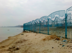 У жителя Таганрога появились вопросы к природоохранному прокурору