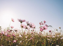 Свежий ветерок и ясное небо ожидаются на выходные в Таганроге