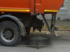 Горожане предложили присвоить Таганрогу звание «города тысячи зловонных пятен»