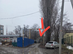 «Поход туда подобен смерти!»: таганрожцы возмущены запущенной территорией у рентген-кабинета на Толбухина