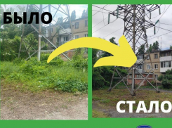 Административная инспекция зафиксировала нескошенную траву в Таганроге