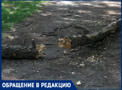 «Благоустройство» приведет «Аллею Славы» в порядок в Таганроге 