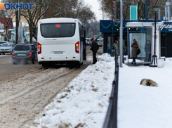 Власти Таганрога объяснили транспортный коллапс в Порту снежной стихией