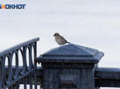 Гроза, похоже, пройдёт мимо Таганрога — вопреки обещаниям пабликов