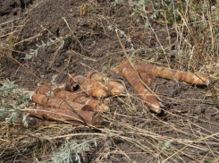 В Куйбышевском районе нашли сразу более 20 снарядов времен ВОВ