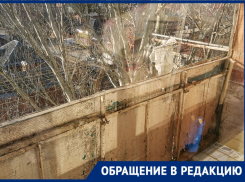 Компания «Вилант» взяла аванс 40 тысяч с таганроженки и два месяца кормит ее «завтраками»