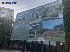 В роще «Дубки» провели субботники