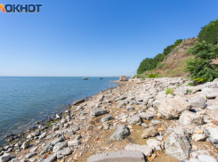 Что происходит: климат в акватории Азовского моря и Таганрогского залива сильно меняется в последние годы