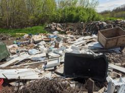 «Блокнот» готов бороться с «серыми возчиками», которые засоряют территорию вокруг Таганрога