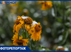 Первый снежок в Таганроге растаял без следа