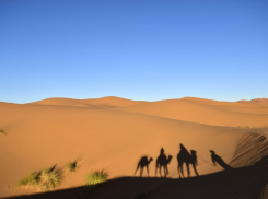 Таганрожцам ещё пустыни Сахары не хватает