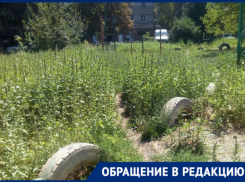 Трава и клещи вместо детской площадки в Таганроге