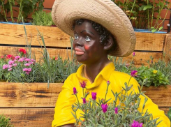 Как создать ароматный рай в своем саду 