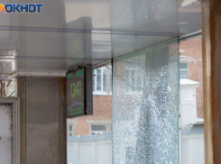 Губернатор Ростовской области пообещал проверить остановки в Таганроге