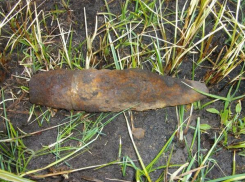 Под Таганрогом рыбак выловил из реки взрывоопасный улов 