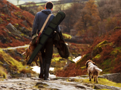 На Дону открывается сезон охоты: когда идти на норку с куницей, а когда - на гусей с утками