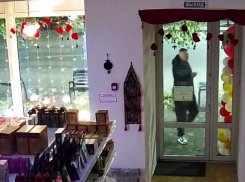 Прижигал сигаретой: хулиган этой ночью развлекался в Таганроге - видео 