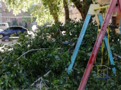 Огромная ветка старого тополя упала на детскую площадку с высоты 4-го этажа