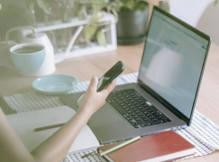 В 2022 году жители Ростовской области стали чаще искать работу в интернете