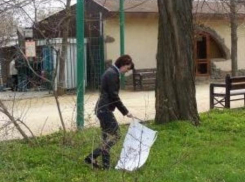 Таганрогские студенты вышли на субботник 