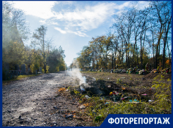 На Николаевском кладбище в Таганроге рубят деревья, говорят по закону