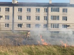Штраф в двойном размере могут заплатить таганрожцы, которые поджигают сухую траву