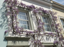 Новая фишка отпугнёт богатых гостей Таганрога