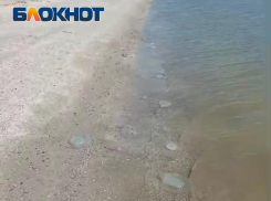 Азовское море и Таганрогский залив: какие процессы происходят