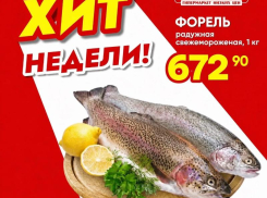 Товар дня: Форель свежемороженная за 672,90 ₽ / кг!