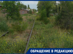 Пробираться через леса амброзии приходится таганрожцам в районе 26 магазина