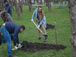 День древонасаждения подарит таганрожцам более 1200 деревьев и кустаринков