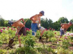 В Таганроге трудоустроили 29 подростков из  детских домов