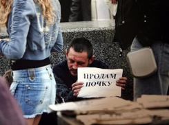 Самый важный орган человеческого тела продают в Таганроге за копейки
