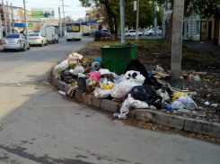 Жильцов домов по улице Чехова  беспокоит  накапливающийся  мусор