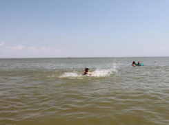 О почти катастрофических изменениях  Азовского моря рассказали в Росрыболовстве