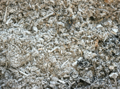 Таганрогский центральный пляж засыпало белым «снегом»