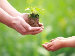 В Таганроге празднуют День мецената и благотворителя
