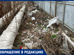 Горы мусора образовались за закрытым бассейном «Дельфин» 