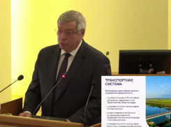 Губернатор Ростовской области отчитался перед депутатами о результатах работы
