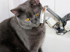 Таганрожцы на сутки вновь останутся без воды